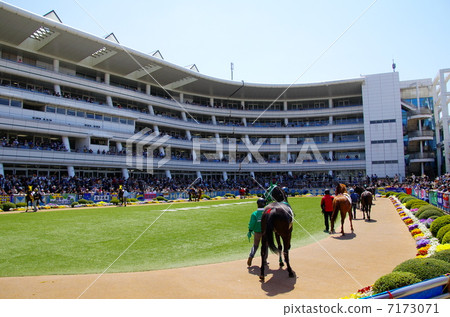 Racetrack paddock 7173071