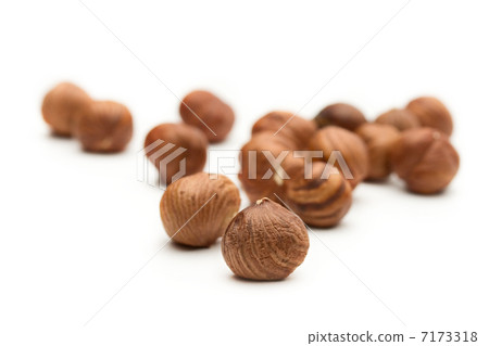 Hazelnuts on the white background Hazelnuts on the white background 7173318