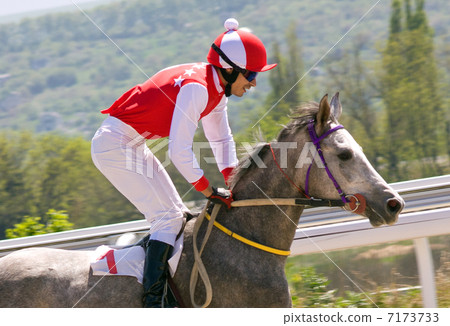 The winner. The winner. 7173733