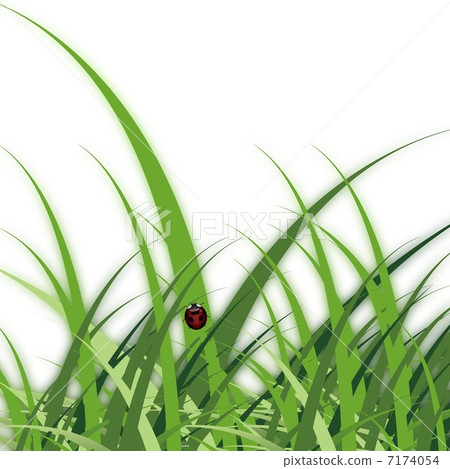 瓢蟲 瓢蟲 7174054