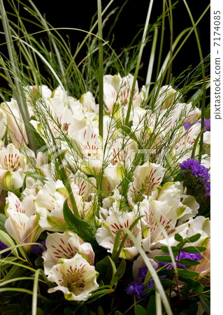 beautiful flowers beautiful flowers 7174085