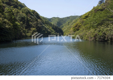 Fresh green of Ikeba 7174304