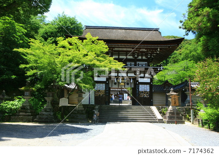 Matsuo Taisha Shrine 7174362