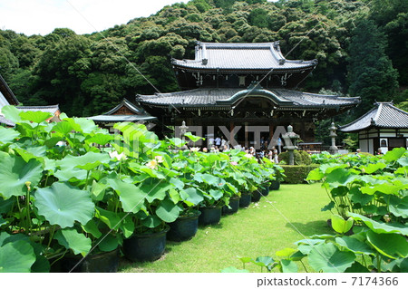 Mimuroto Temple 7174366
