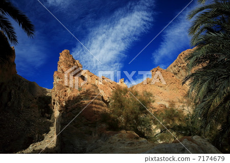 Chebika Chebika 7174679