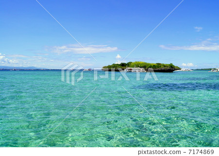 Sea of the tropics 7174869