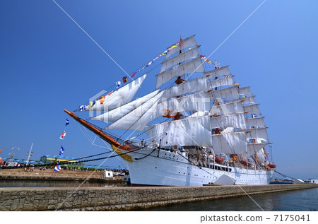 Sailed sea lady 7175041