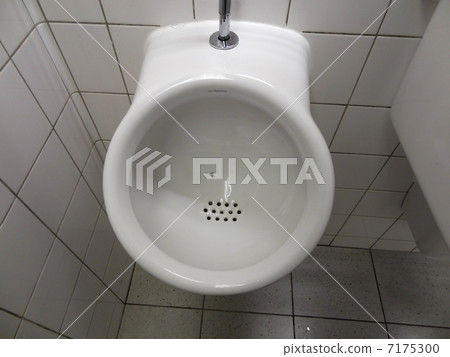 馬桶的蒼蠅 7175300