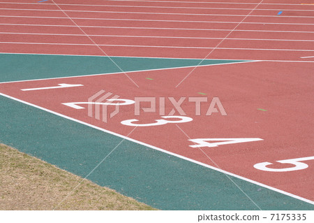 體育場 體育場 7175335