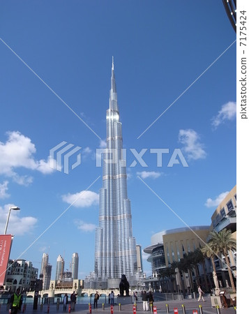 Birge Califa 7175424