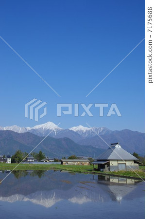 春天信州安曇野/北阿爾卑斯山 7175688