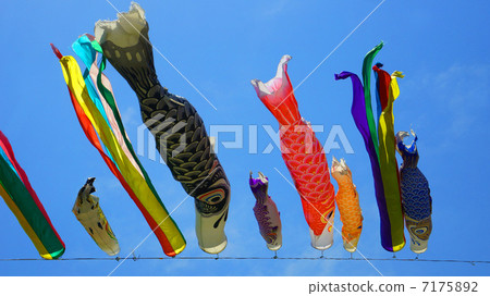 Carp streamer swimming in the blue sky Carp streamer swimming in the blue sky 7175892