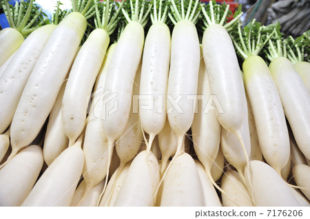 Japanese radish Japanese radish 7176206