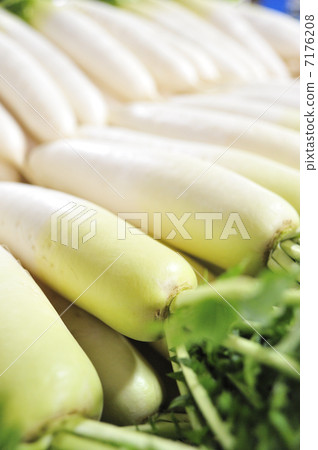 Japanese radish 7176208