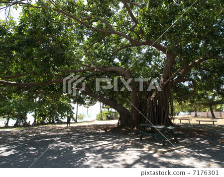 道格拉斯港的堡壘 7176301