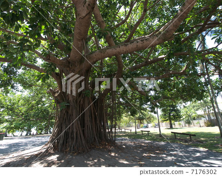 Port Douglas's bastion Port Douglas's bastion 7176302