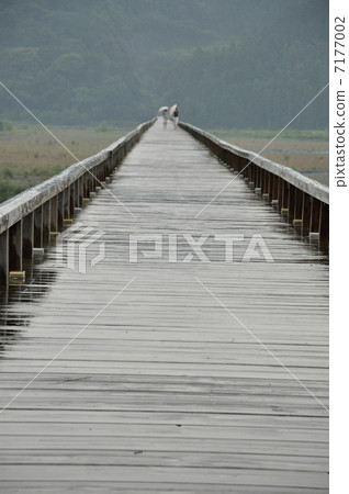 Rain Penglai Bridge 7177002