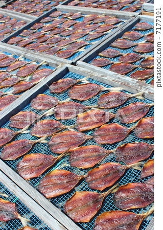 Dried mackerel dried fish 7177191