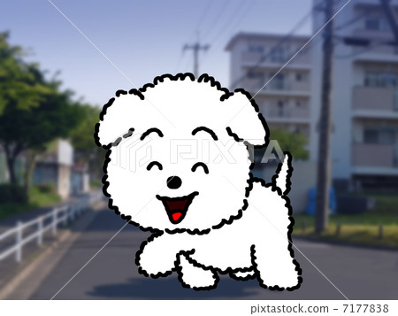 Dog walking in town 7177838