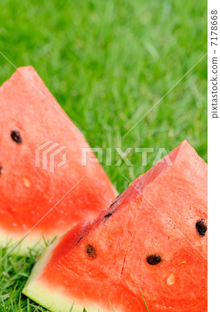 西瓜 西瓜 7178668