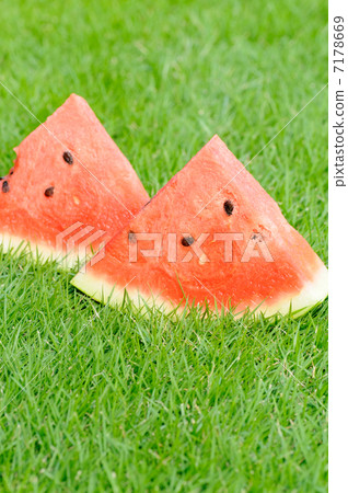 西瓜 西瓜 7178669