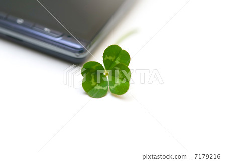 A close-up of a four-leaf clover and a smartphone. A close-up of a four-leaf clover and a smartphone. 7179216