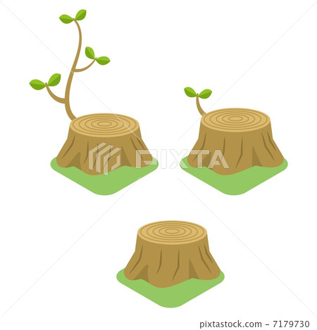 stump 7179730