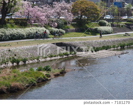Kyoto River in Kyoto 7181270
