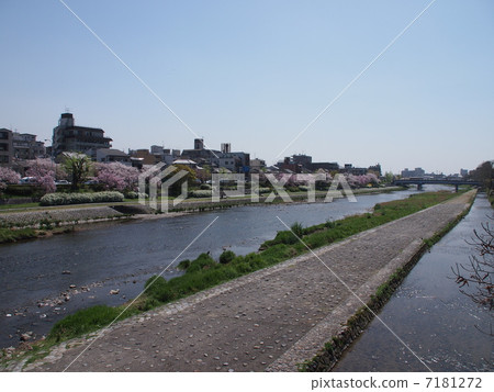 Kyoto River in Kyoto 7181272