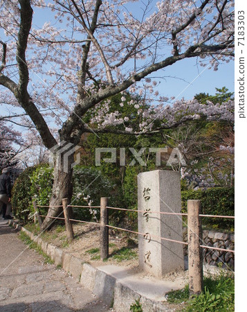 Spring and philosophical way of Kyoto Spring and philosophical way of Kyoto 7183303