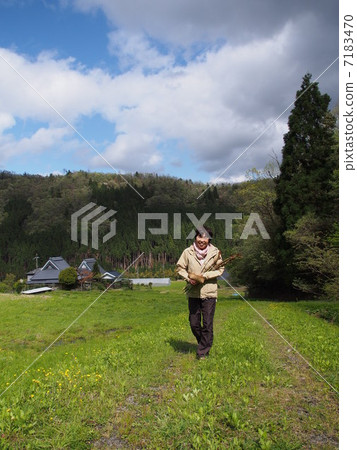 高級採取野菜 7183470