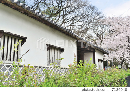Fukuoka Castle ruleto - Nyantora Beefei House Nagayamon 7184048