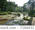 Yakushima Forest 7184432