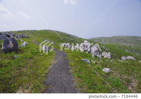 Akiyoshidai Road 7184446