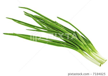 Young onion on white background. Close-Up. Isolated. 7184825