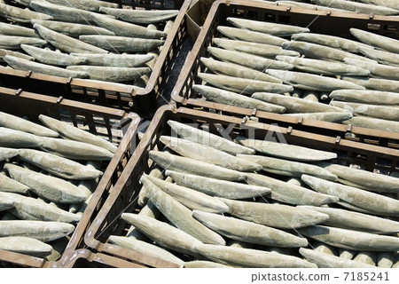 曬乾的芝麻酥皮點心 7185241