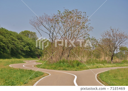 一條分開的道路 7185469