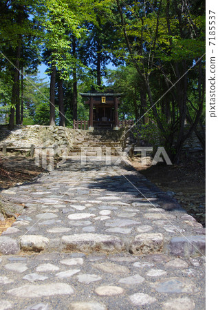 Shizuka Ruins in early summer ruins 7185537