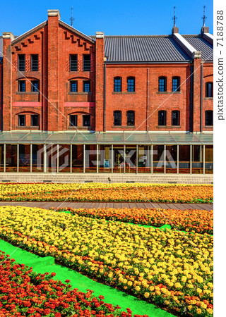 Yokohama Red Brick Warehouse Flower Bed (Naka-ku, Yokohama) 7188788