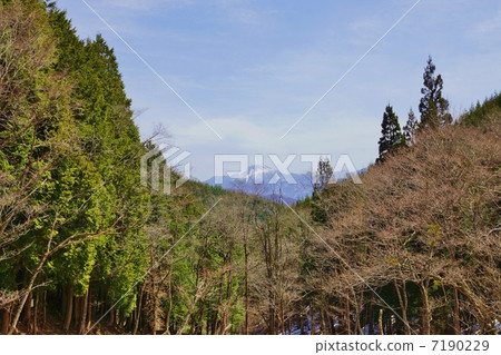 早春風景·遙遠的雪山·水平位置 7190229