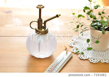 Grow a foliage plant Grow a foliage plant 7191061