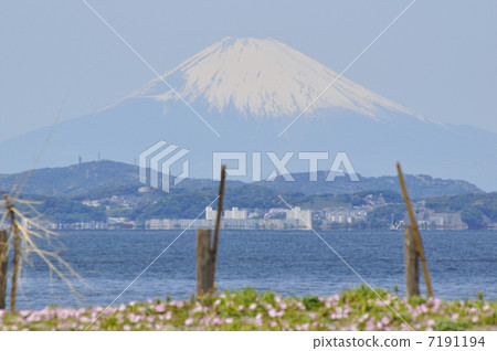 海灘沙灘面和富士2 7191194