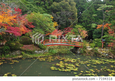 Kyoto Ohara Shrine Kozawa Pond 7194318