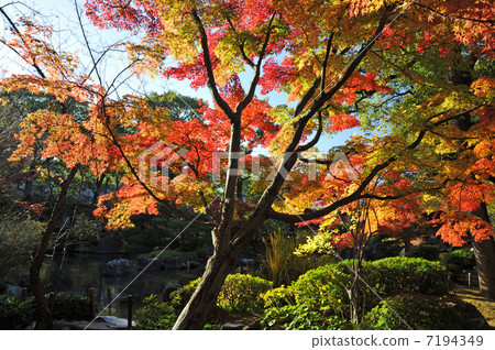 城堡的秋天在京都城南 7194349