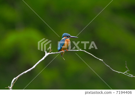 Interdiction 7194406