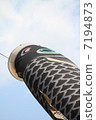    Carp streamer 7194873