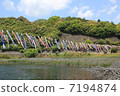    Carp streamer 7194874