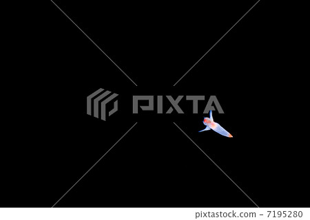 Clione Clione 7195280