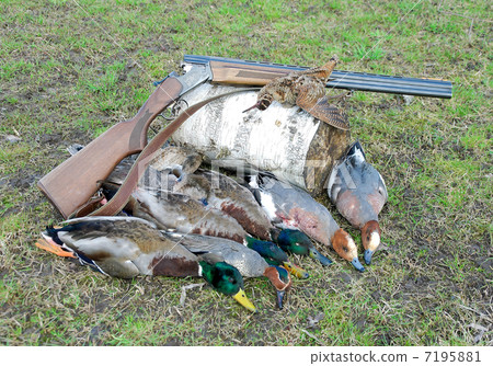 trophy hunter. ducks, woodcock and hunting rifle. trophy hunter. ducks, woodcock and hunting rifle. 7195881