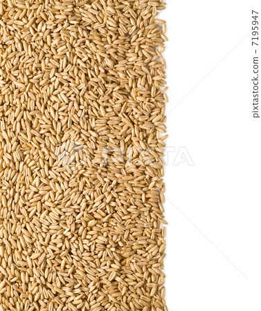 rye background 7195947